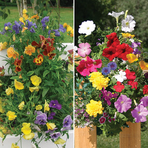 Two Sun-Loving Saddlebag Seed Kits Mixed Pansy & Mixed Butterfly (2 Seed Kits) SHF